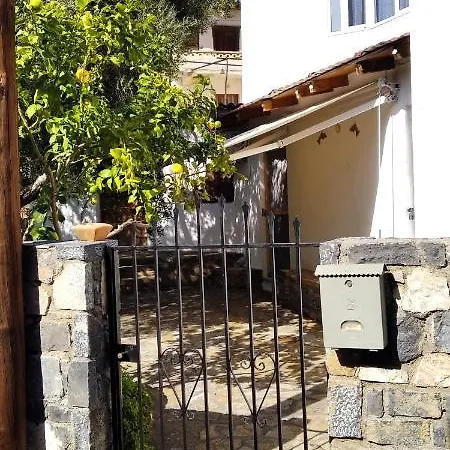 Traditional House In *